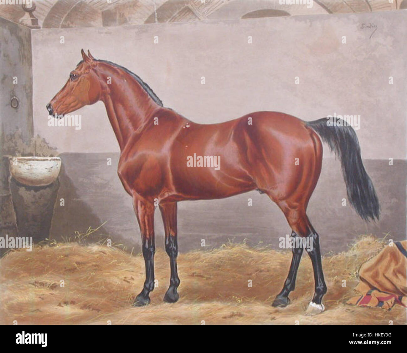 'Melton at Stud' est une peinture représentant un cheval au Stud, capturant l'élégance et la force de l'animal. La peinture reflète l’attention de l’artiste aux détails dans les portraits d’animaux et la vie rurale. Banque D'Images