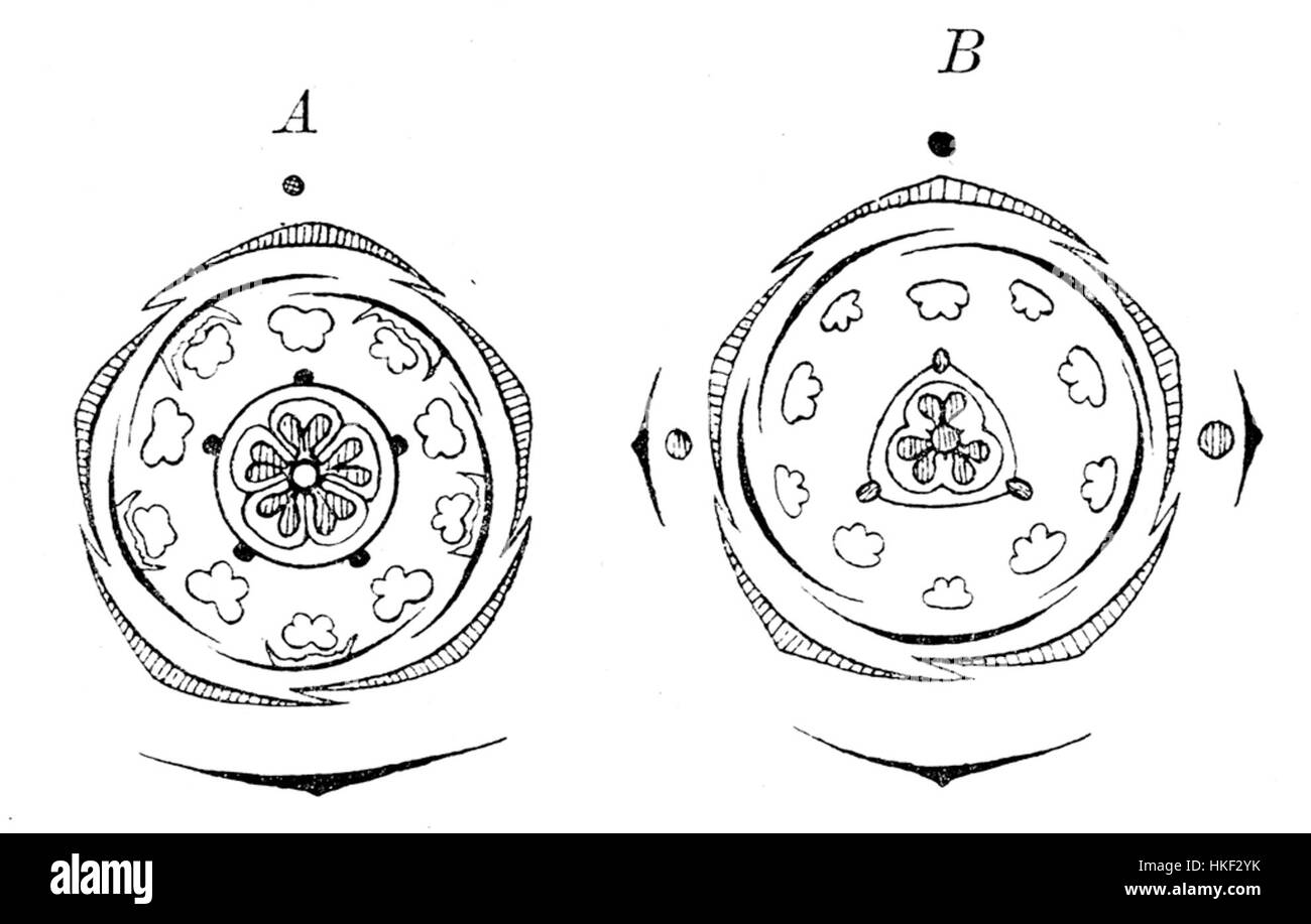 Cette illustration botanique de la famille des fleurs des Caryophyllaceae met en évidence les détails complexes des plantes, leurs structures et leurs caractéristiques. Il sert d'étude détaillée de la morphologie des fleurs. Banque D'Images