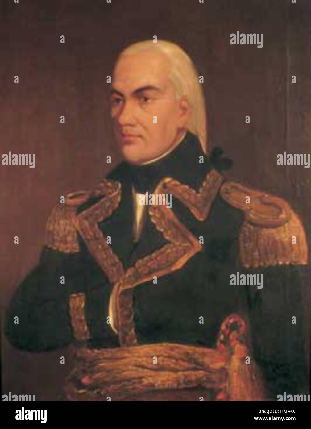 Ce portrait de Francisco de Miranda, réalisé par Lewis B. Adams, capture le chef militaire vénézuélien et révolutionnaire. Connu comme précurseur des mouvements indépendantistes sud-américains, le portrait de Miranda reflète son importance dans l'histoire de la région. Banque D'Images