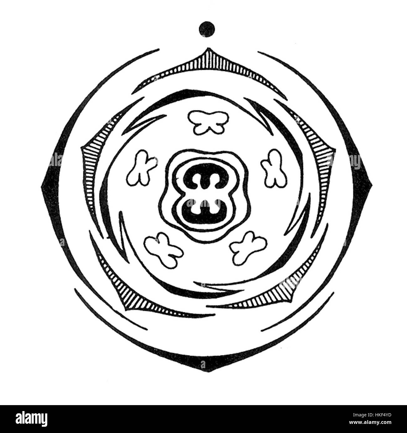 Cette illustration botanique présente un diagramme de la famille des fleurs des Convolvulaceae, mettant en évidence les caractéristiques et la structure uniques de ces plantes, connues pour leurs fleurs vibrantes. Banque D'Images