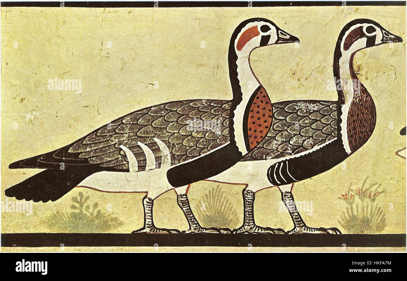 Cette image montre une photographie détaillée de la fresque des oies de la tombe d'Itet à Meidoum, en Égypte. L'œuvre, datant de l'ancien Empire, représente une scène naturaliste d'oies, illustrant l'ancienne tombe égyptienne Banque D'Images