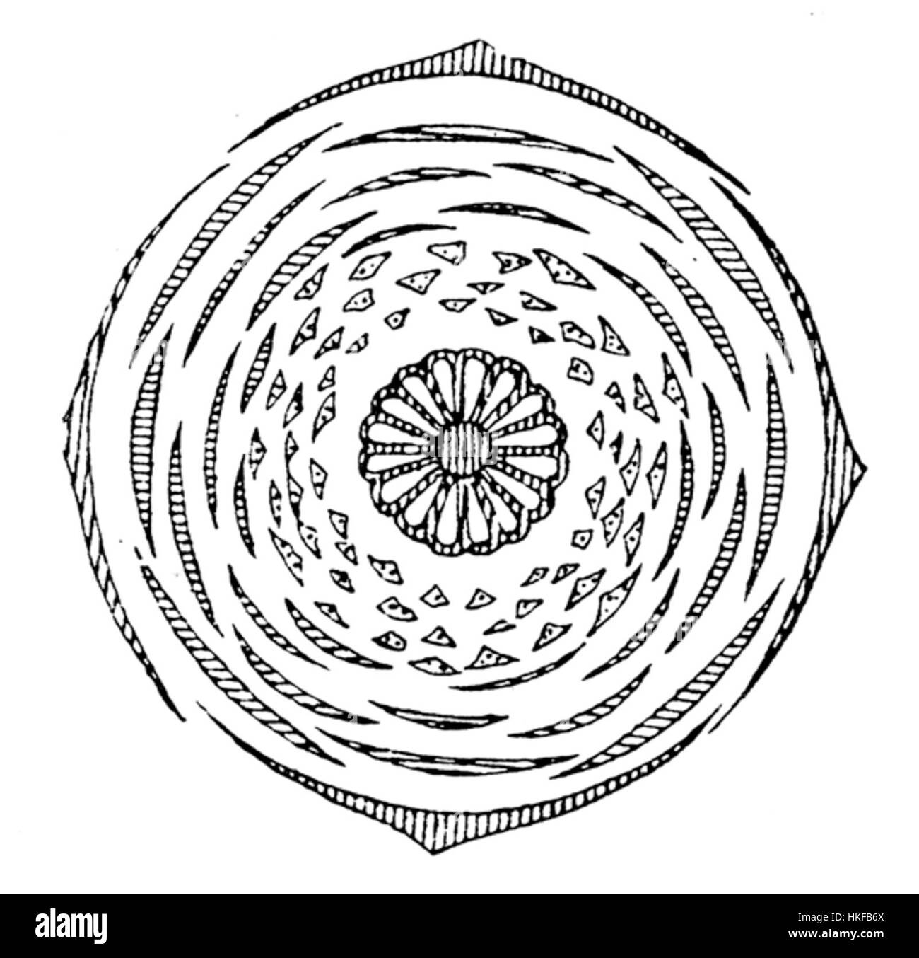 Ce diagramme de la fleur de Nymphée illustre les détails botaniques et la structure de l'espèce, communément appelée nénuphars. Le dessin met en évidence les caractéristiques florales clés, fournissant une étude scientifique de la plante. Banque D'Images
