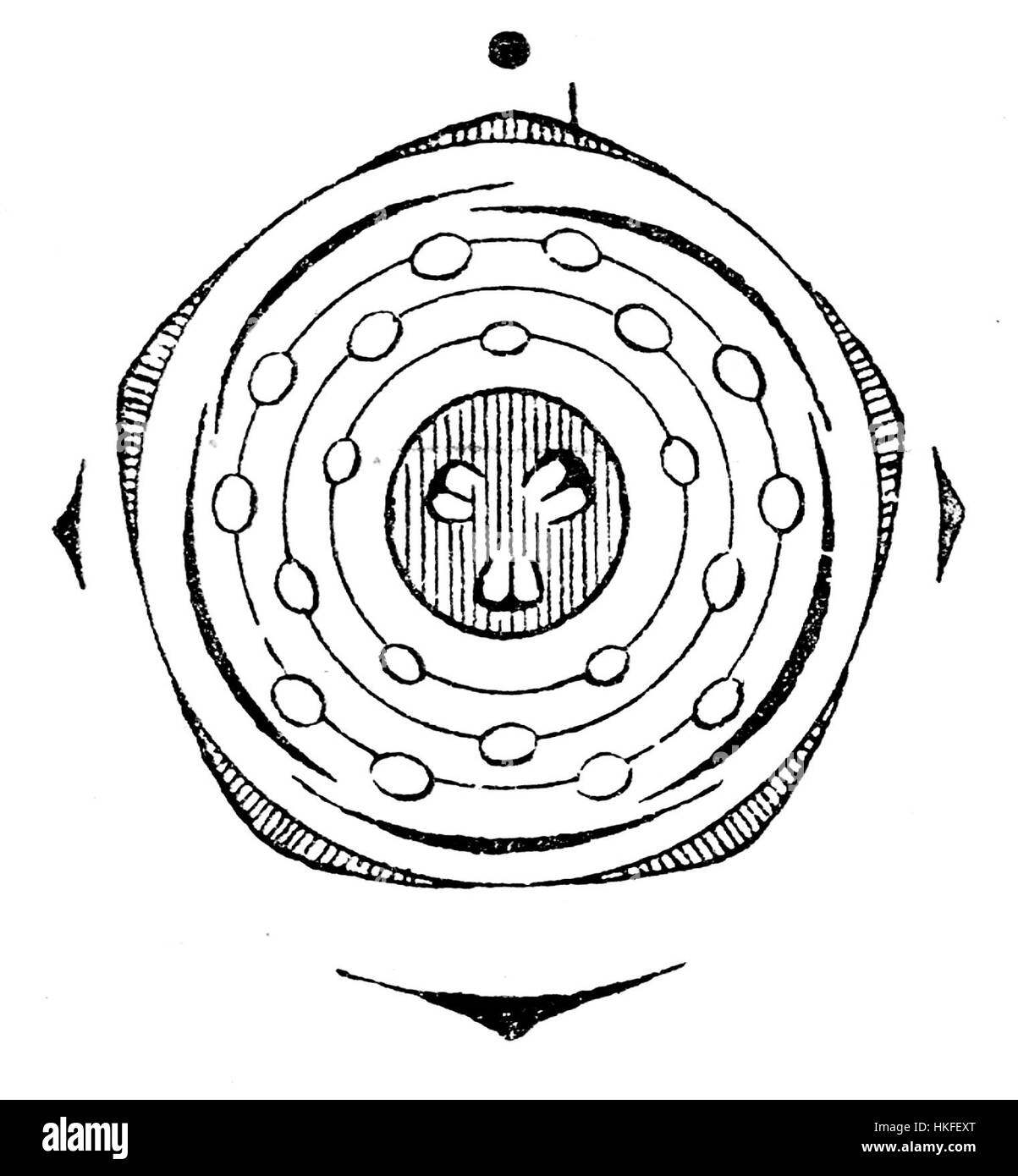 Le diagramme floral de Sorbus domestica, communément appelé arbre de service, illustre la structure complexe de ses fleurs. Cette illustration botanique met en évidence les fleurs de la plante et leur importance en botanique, fournissant une représentation précise de ses parties reproductrices. Banque D'Images