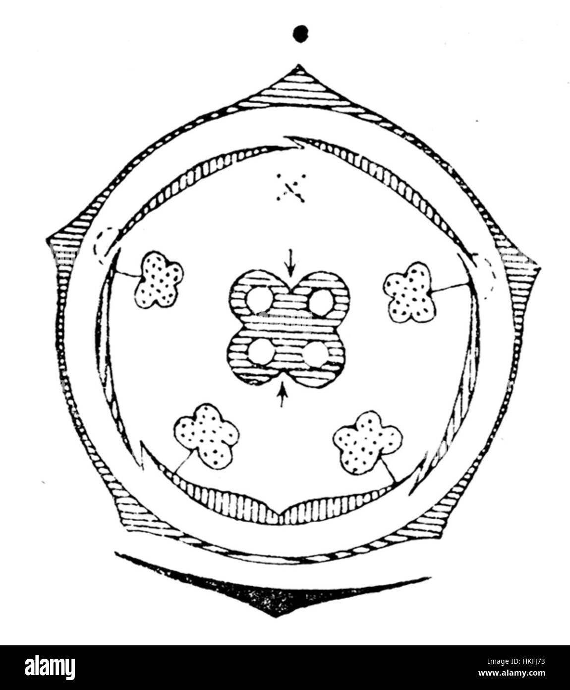 Ce diagramme illustre la structure de la fleur de Lamium, offrant une représentation claire de son anatomie. L'œuvre est une étude botanique, montrant les parties clés de la fleur, y compris les pétales, les étamines et les feuilles, à des fins éducatives et scientifiques. Banque D'Images