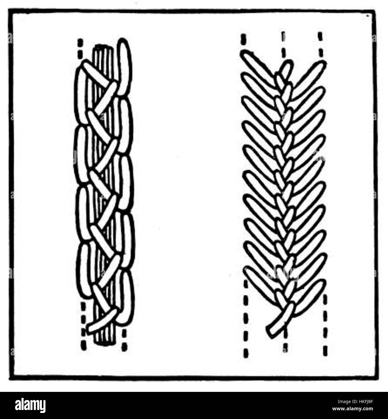 Les variations de point de plumes Banque D'Images