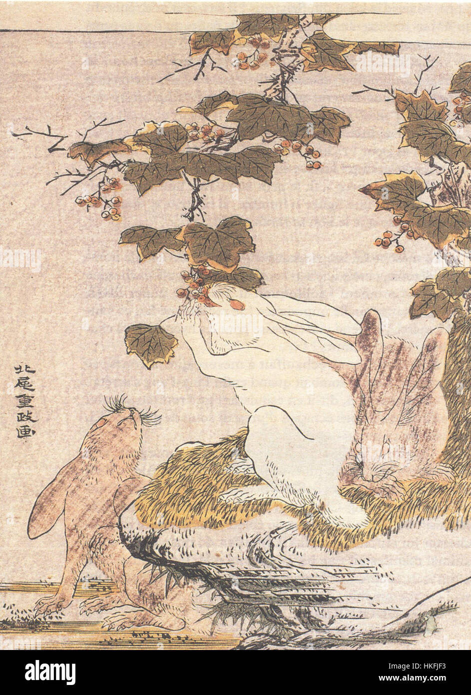 Cette œuvre, créée par Kitao, représente trois lièvres entourées de vignes. La pièce combine la nature avec une signification symbolique, mettant en valeur l'habileté de l'artiste à transmettre la beauté naturelle et les détails complexes. Banque D'Images