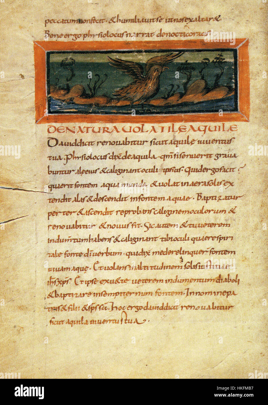 L'oeuvre *74 Fisiologo di Berna Aquile* d'un artiste inconnu représente des aigles en vol. Cette pièce fait partie de la tradition plus large de l'art naturaliste, mettant l'accent sur l'anatomie et le mouvement des oiseaux de proie dans leur environnement naturel. Banque D'Images