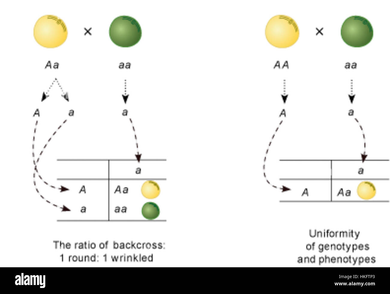 'Silang balik' est une œuvre d'art philippin traditionnelle, mettant en valeur la culture indigène et des thèmes historiques à travers un design complexe et l'utilisation vibrante de la couleur, reflétant le patrimoine et l'art philippin. Banque D'Images