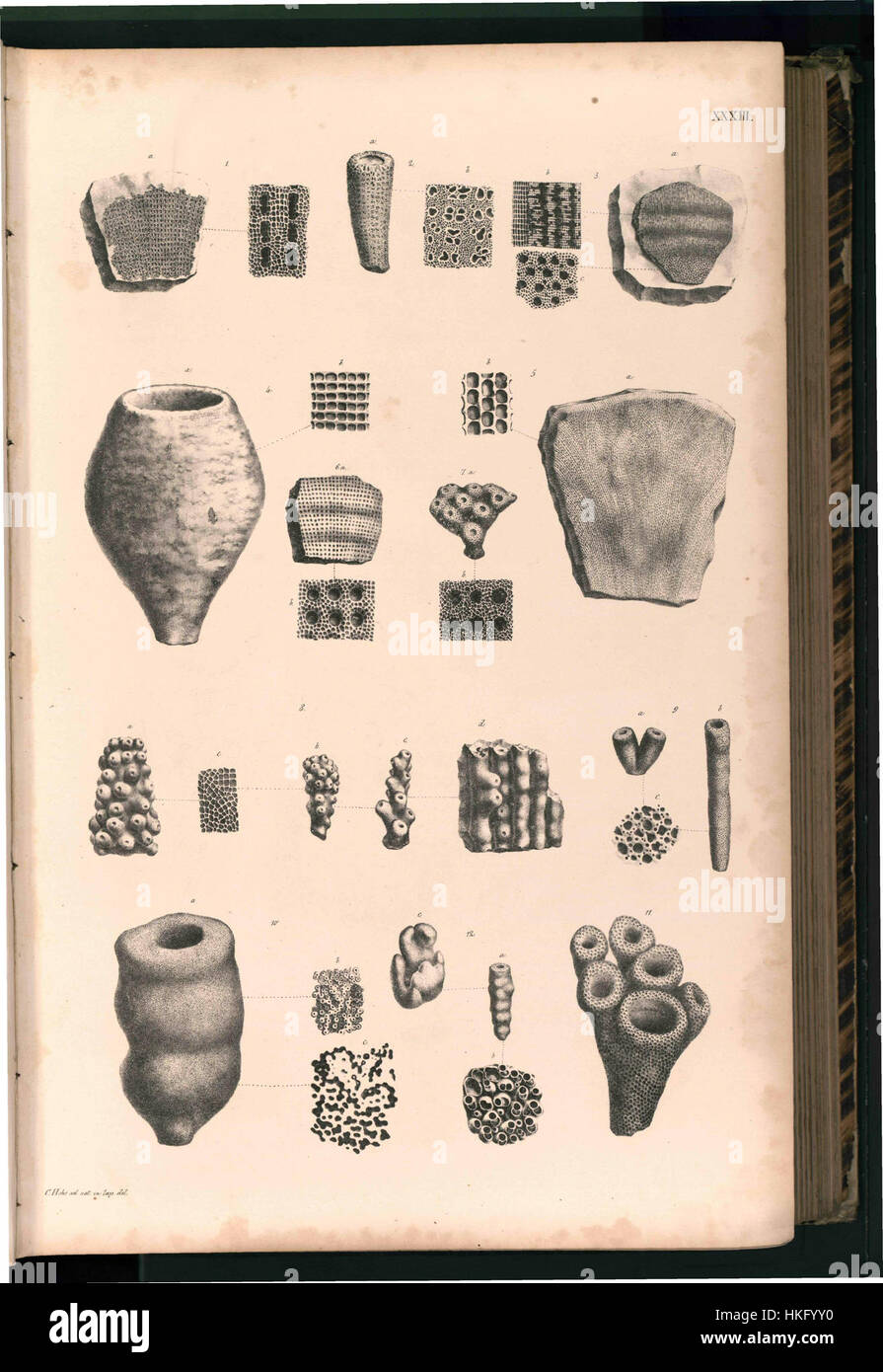 Tafel 033 se réfère à une œuvre d'art ou artefact spécifique, dont les détails nécessitent un contexte plus poussé pour définir précisément son objet ou sa pertinence historique. Banque D'Images