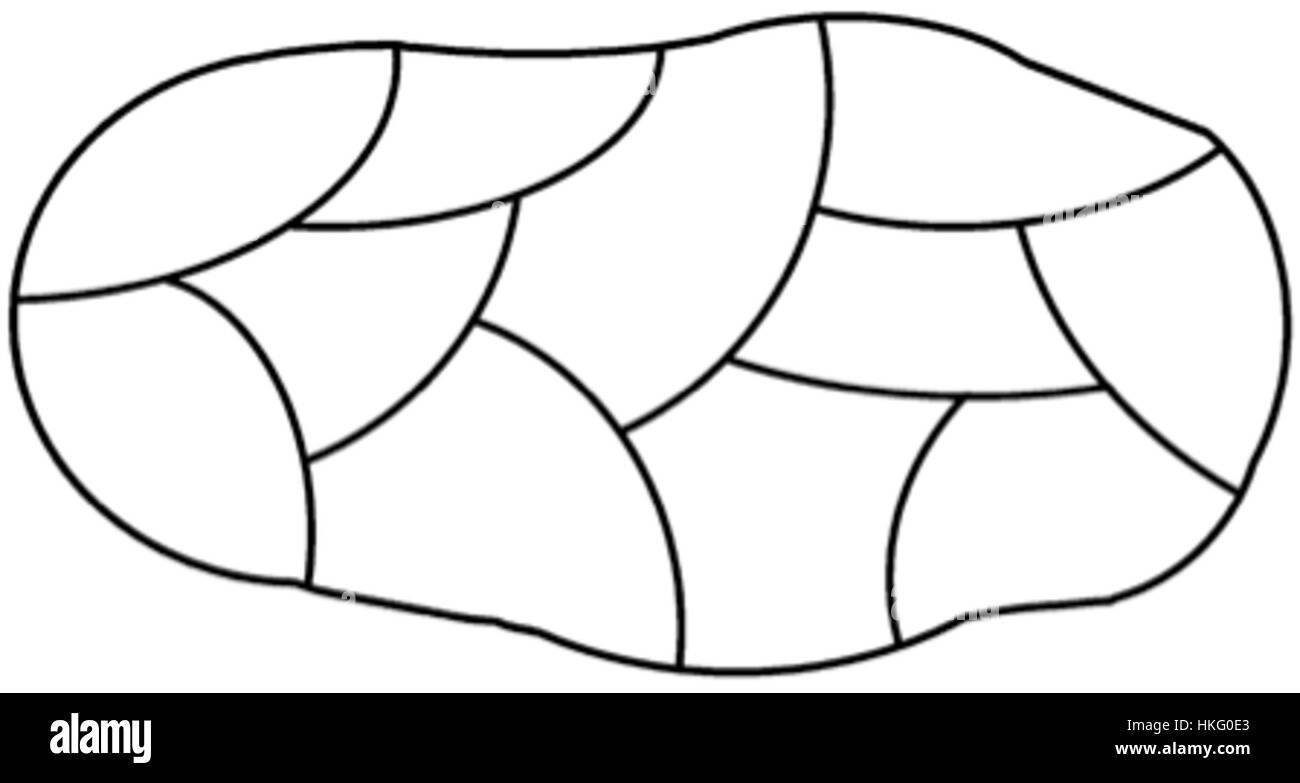 La théorie des champs de Lewin en psychologie souligne l'importance de comprendre le comportement humain dans le contexte de l'environnement d'un individu. Cette théorie influente a façonné la recherche psychologique moderne et la compréhension de la dynamique sociale. Banque D'Images