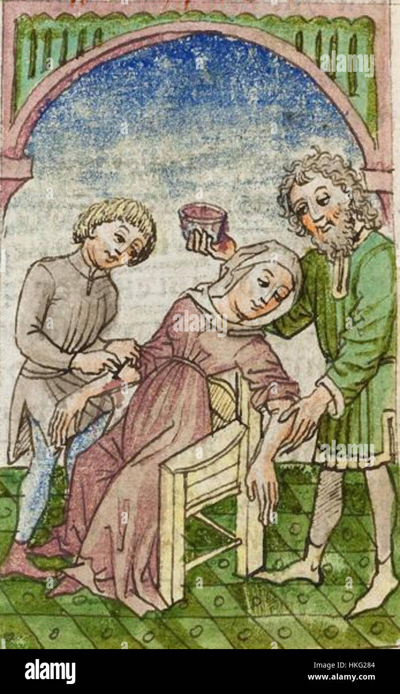 Cette œuvre d'art est tirée de la 'Gesta Romanorum', un manuscrit médiéval, représentant diverses histoires de l'Empire romain avec des illustrations complexes, montrant la riche histoire et l'art de l'époque. Banque D'Images