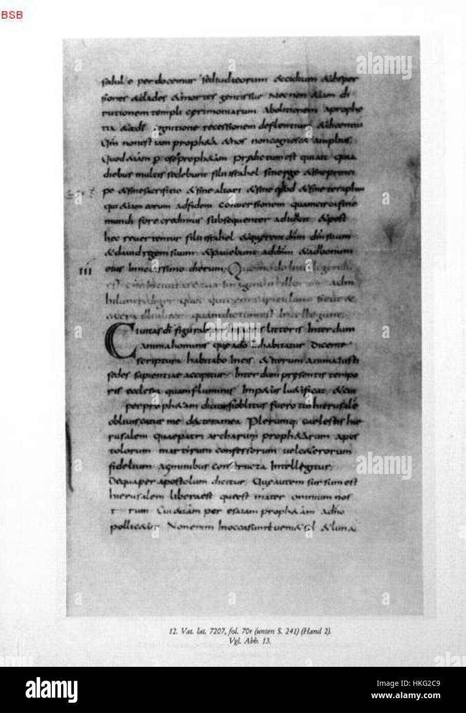 Le Libri Carolini est un manuscrit du IXe siècle connu pour son contenu religieux et théologique, en particulier son commentaire sur le Credo de Nicée. Le Codex Vaticanus Latinus 7207, conservé à la Bibliothèque du Vatican, fournit un aperçu important de la pensée théologique médiévale. Banque D'Images
