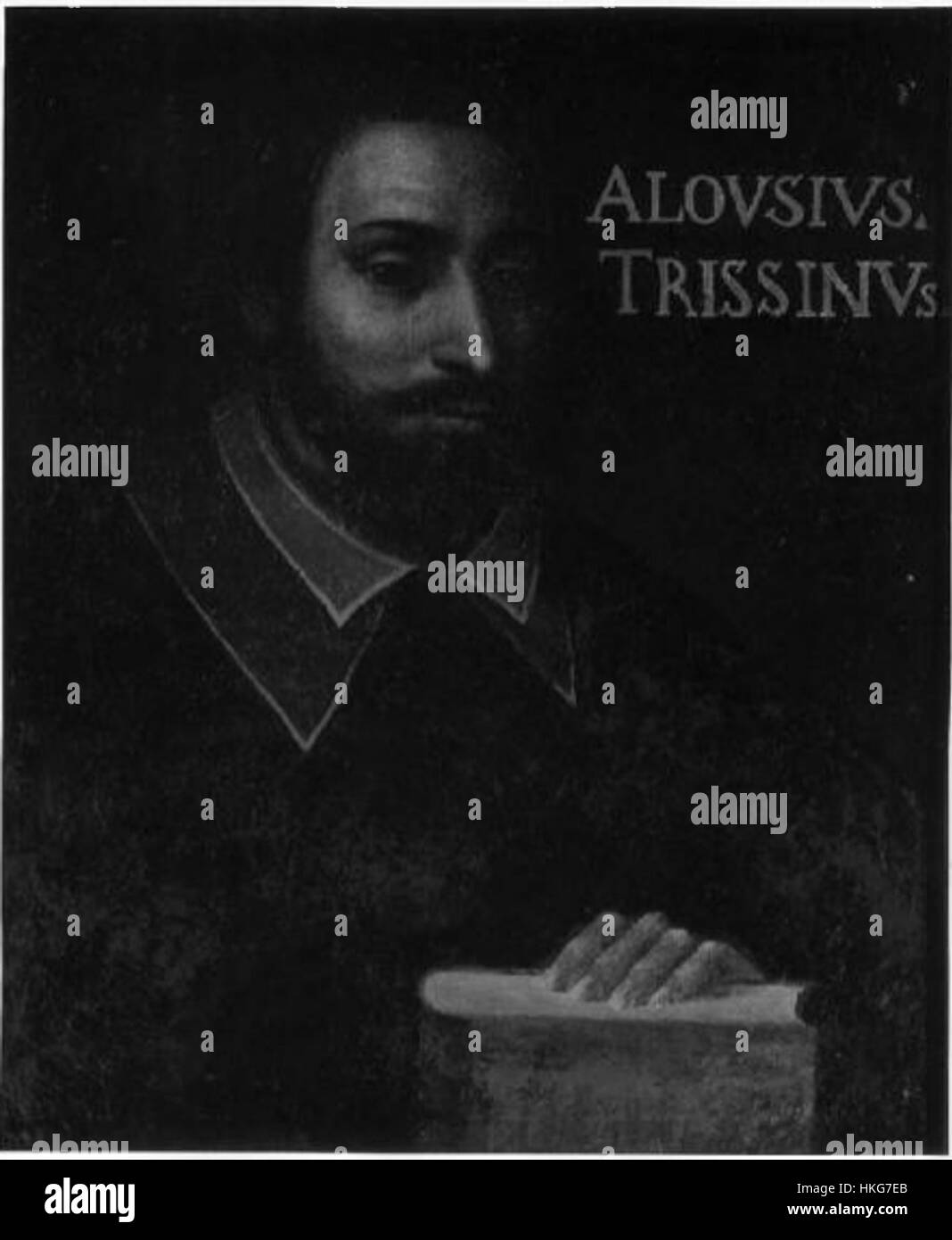 Alvise Trissino, figure influente de la Renaissance, est représentée dans cette œuvre en noir et blanc. Le dessin capture l'essence culturelle de son époque, mettant en valeur à la fois son caractère et l'art de l'époque. Cette pièce vintage reflète la maîtrise de l'artiste dans la représentation de personnages historiques. Banque D'Images