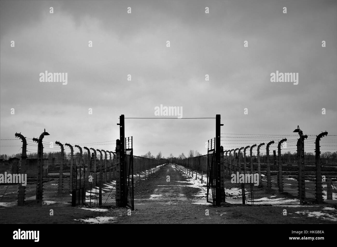 Image noir et blanc à contraste de clôtures à Auschwitz Banque D'Images