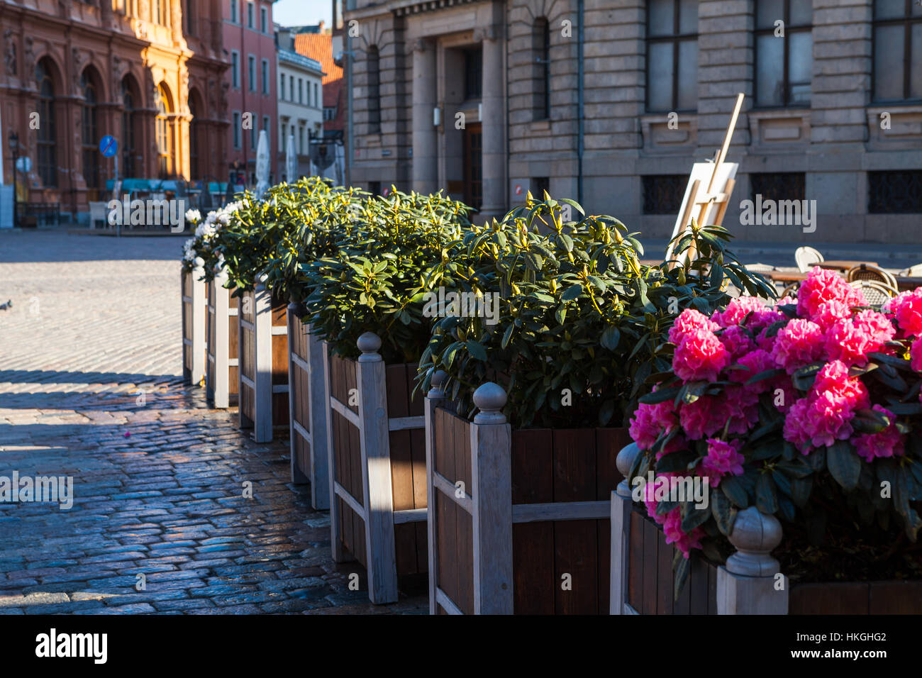 Gros pots avec des fleurs sur la place de la vieille ville européenne Banque D'Images