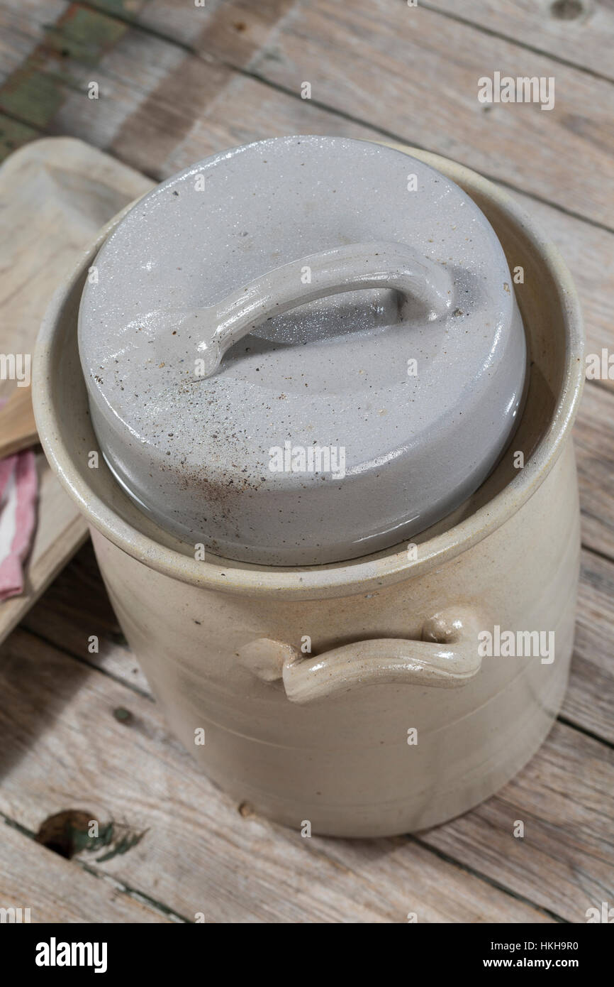 La choucroute, dans un Gärtopf Sauerkohl wird selbst cialis durch Milchsäuregärung von Weißkohl und Weißwein, Weinsauerkraut, Weinkraut, choucroute Banque D'Images