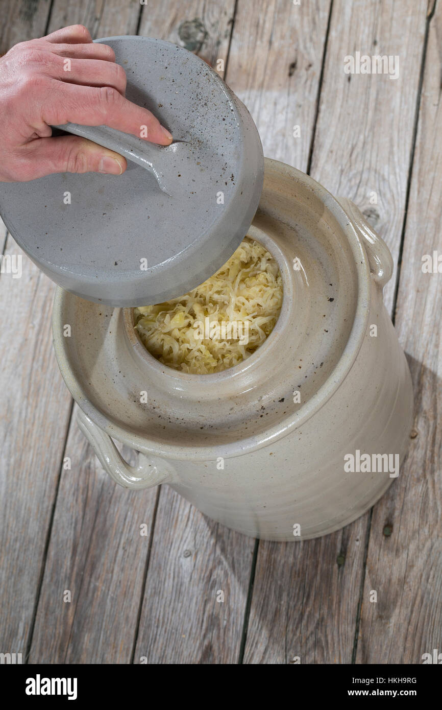 La choucroute, dans un Gärtopf Sauerkohl wird selbst cialis durch Milchsäuregärung von Weißkohl und Weißwein, Weinsauerkraut, Weinkraut, choucroute Banque D'Images