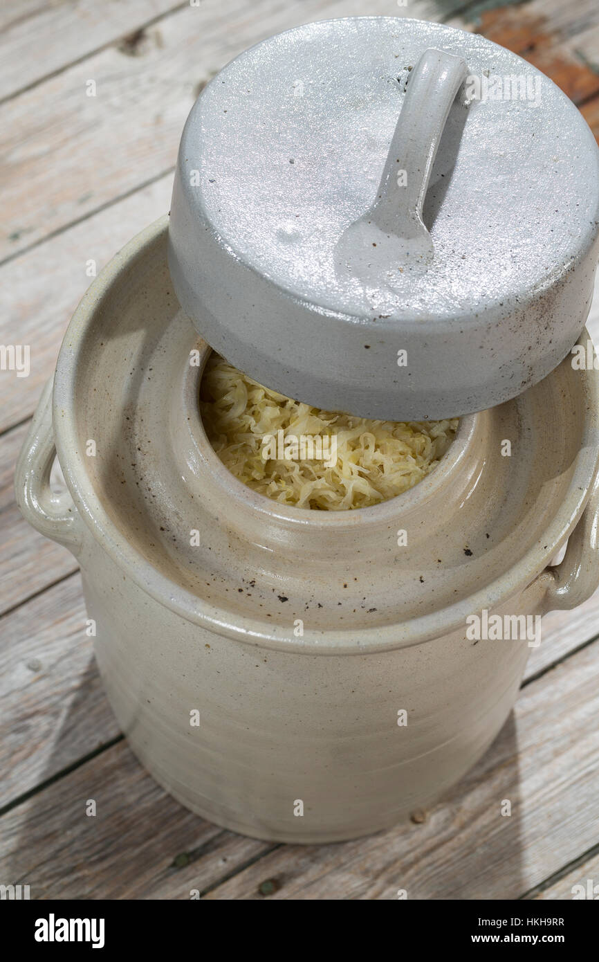 La choucroute, dans un Gärtopf Sauerkohl wird selbst cialis durch Milchsäuregärung von Weißkohl und Weißwein, Weinsauerkraut, Weinkraut, choucroute Banque D'Images