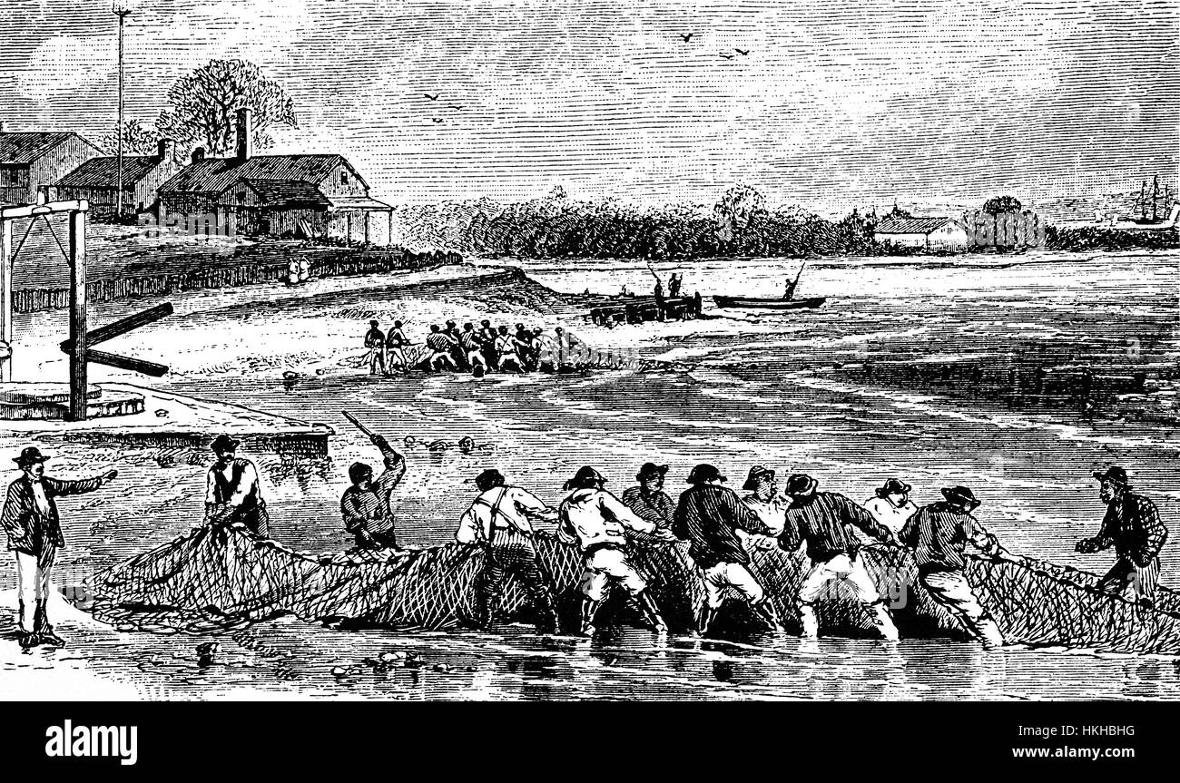 1879 : pêche à l'alose dans la baie du Delaware, qui serait préservée par un processus unique de fumeurs que les edible durant tout l'hiver. La moyenne des captures annuelles de l'alose d'il y a eu environ 4 millions de poissons, et c'est devenu une partie importante de l'économie locale, jusqu'à ce que la rivière est devenue trop polluée.La baie est bordée par le New Jersey et Delaware, États-Unis États-Unis d'Amérique Banque D'Images