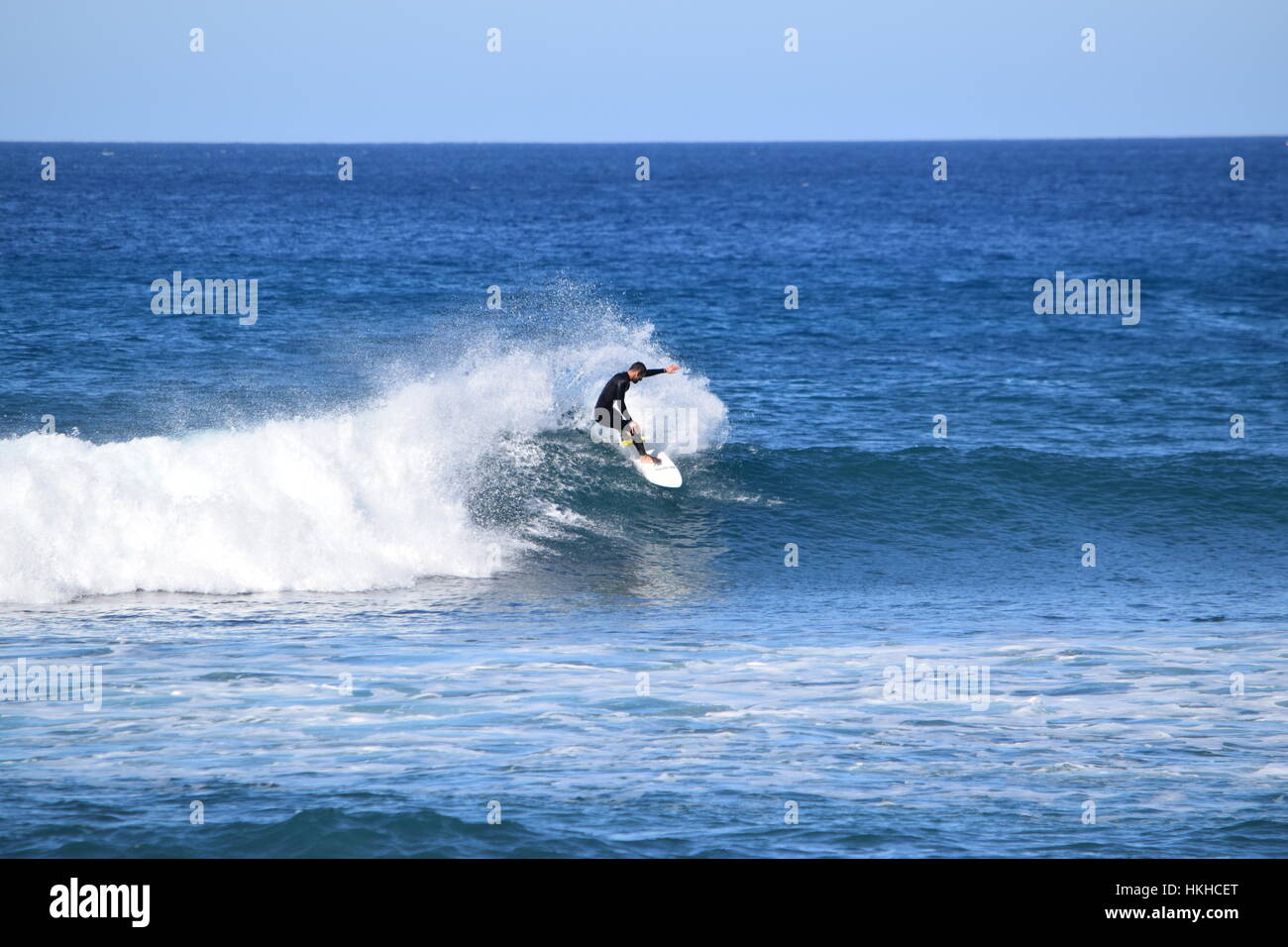 Les canaries surf Banque D'Images