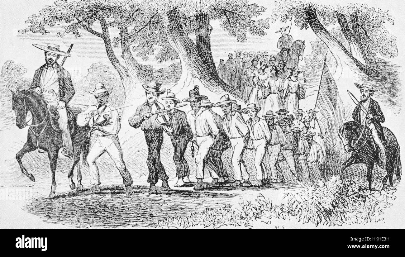 Une gravure représentant un groupe d'esclaves ont marché pendant qu'ils sont liés avec des chaînes, elles sont dirigées par des hommes blancs sur les chevaux qui portent des fusils et de fouets, deux hommes à l'avant du groupe jouent des violons et de l'esclave est forcé de porter un drapeau américain, derrière le groupe d'hommes est un groupe de femmes qui sont menottés deux par deux et enchaînés les uns aux autres, le groupe d'esclaves a été dirigé par Edward Stone qui était un célèbre marchand d'esclave, elle et ses travailleurs ont finalement été battu à mort par un groupe d'esclaves qui se sont mutinés, New York, 1940. À partir de la Bibliothèque publique de New York. Banque D'Images