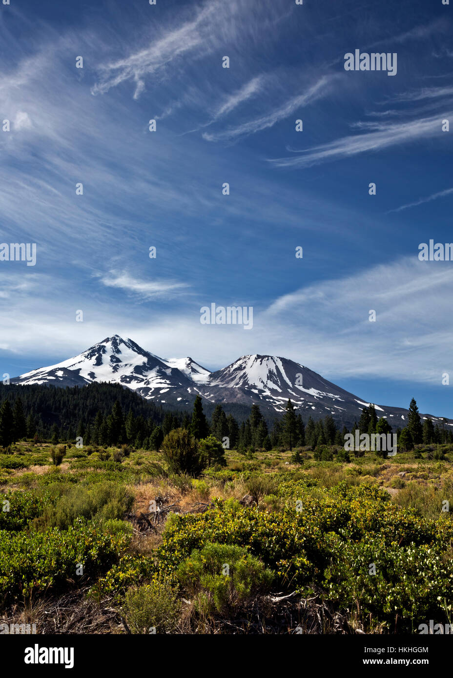 CA02931-00...en Californie - Le Mont Shasta et peu Shastina vu de Bolam route sur le côté nord de la montagne. Banque D'Images