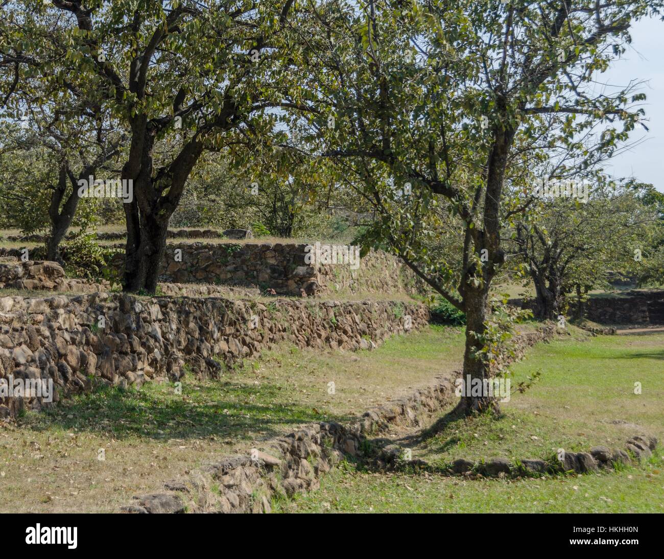 La cour de jeu à l'archéologie Guachimontones site près de Teuchitlan, Jalisco, Mexique. Banque D'Images