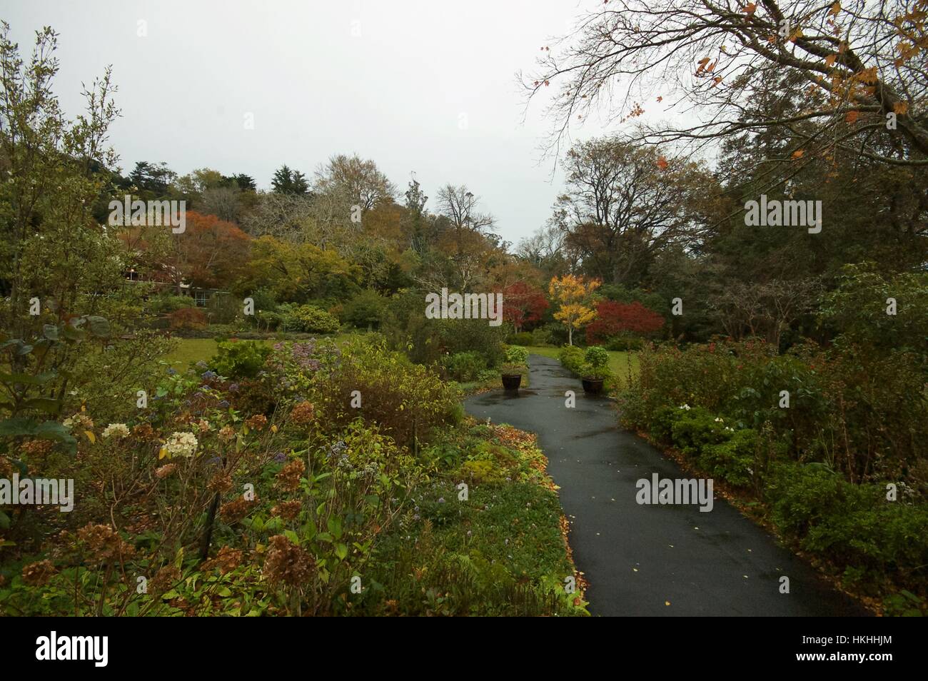 Les Butchart Gardens est situé en Colombie-Britannique. Banque D'Images