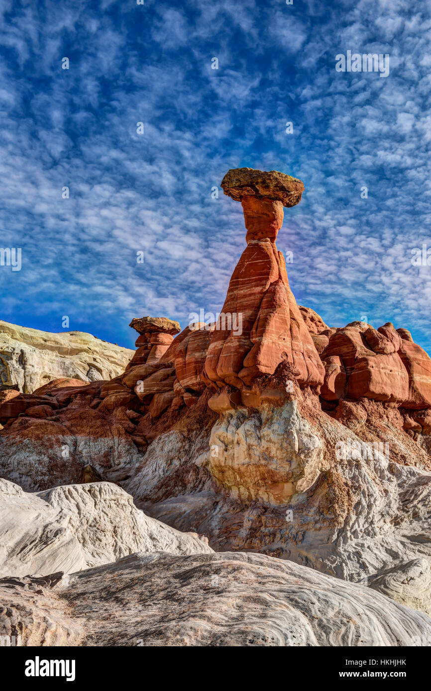 Toadstool hoodoo dans la rivière Paria rimrocks Banque D'Images