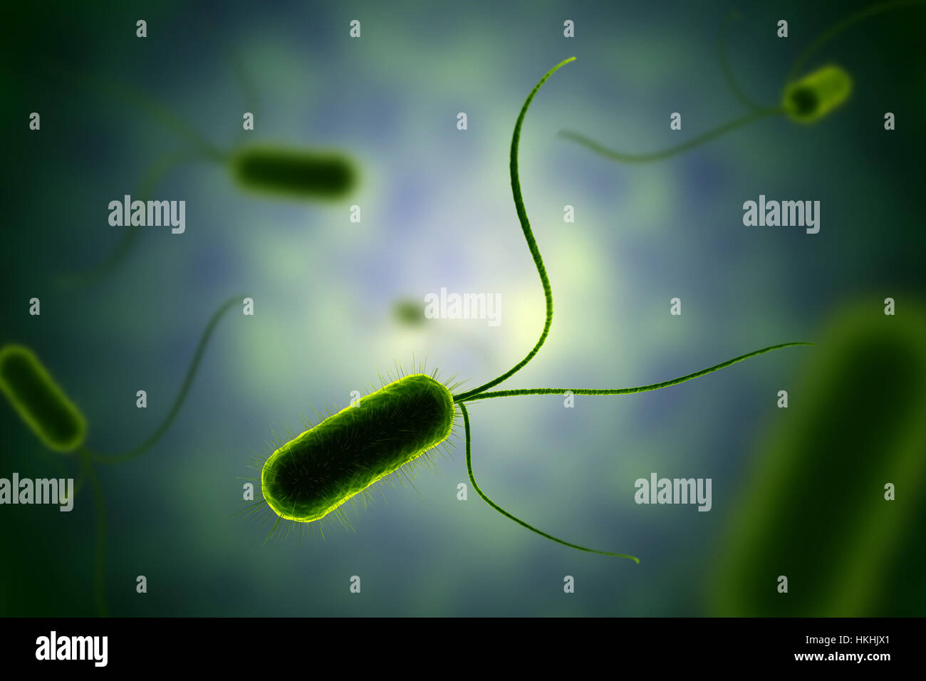 Bactérie verte avec vue microscopique de flagelles dans illustration fluide Banque D'Images