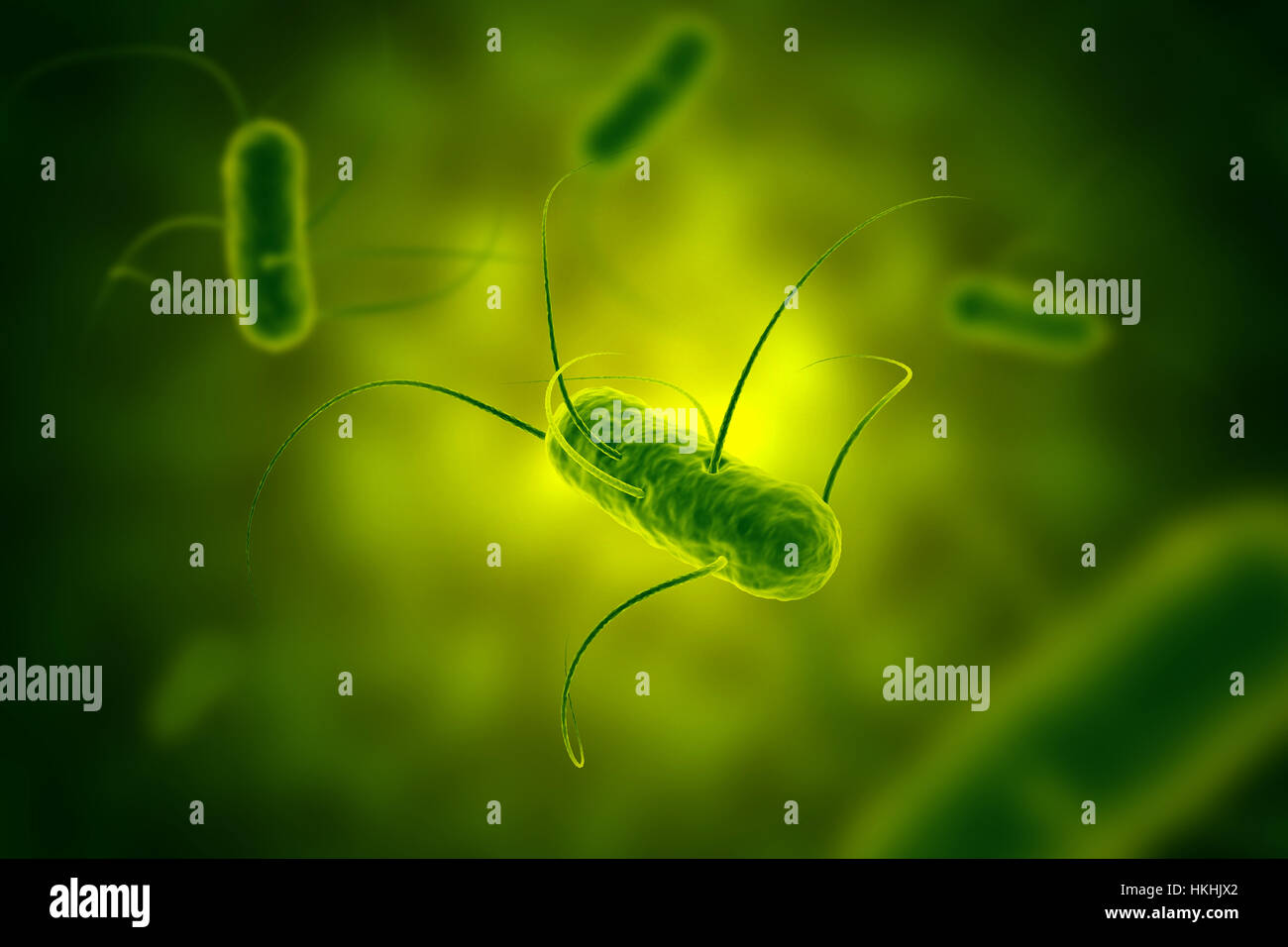 La bactérie salmonella vert avec vue microscopique de flagelles dans illustration fluide Banque D'Images