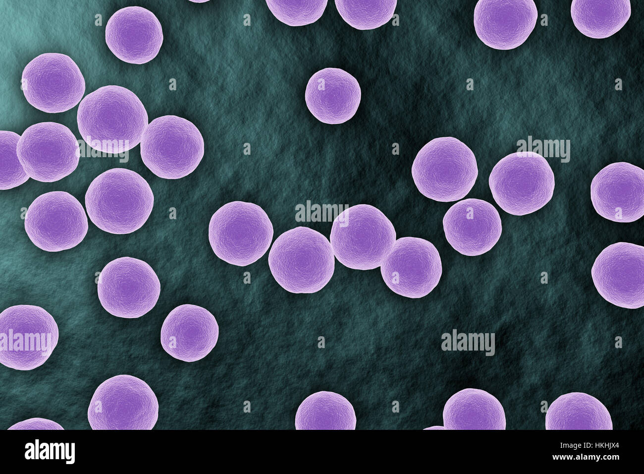 Bactérie Staphylococcus vue microscopique sur l'illustration de surface Banque D'Images