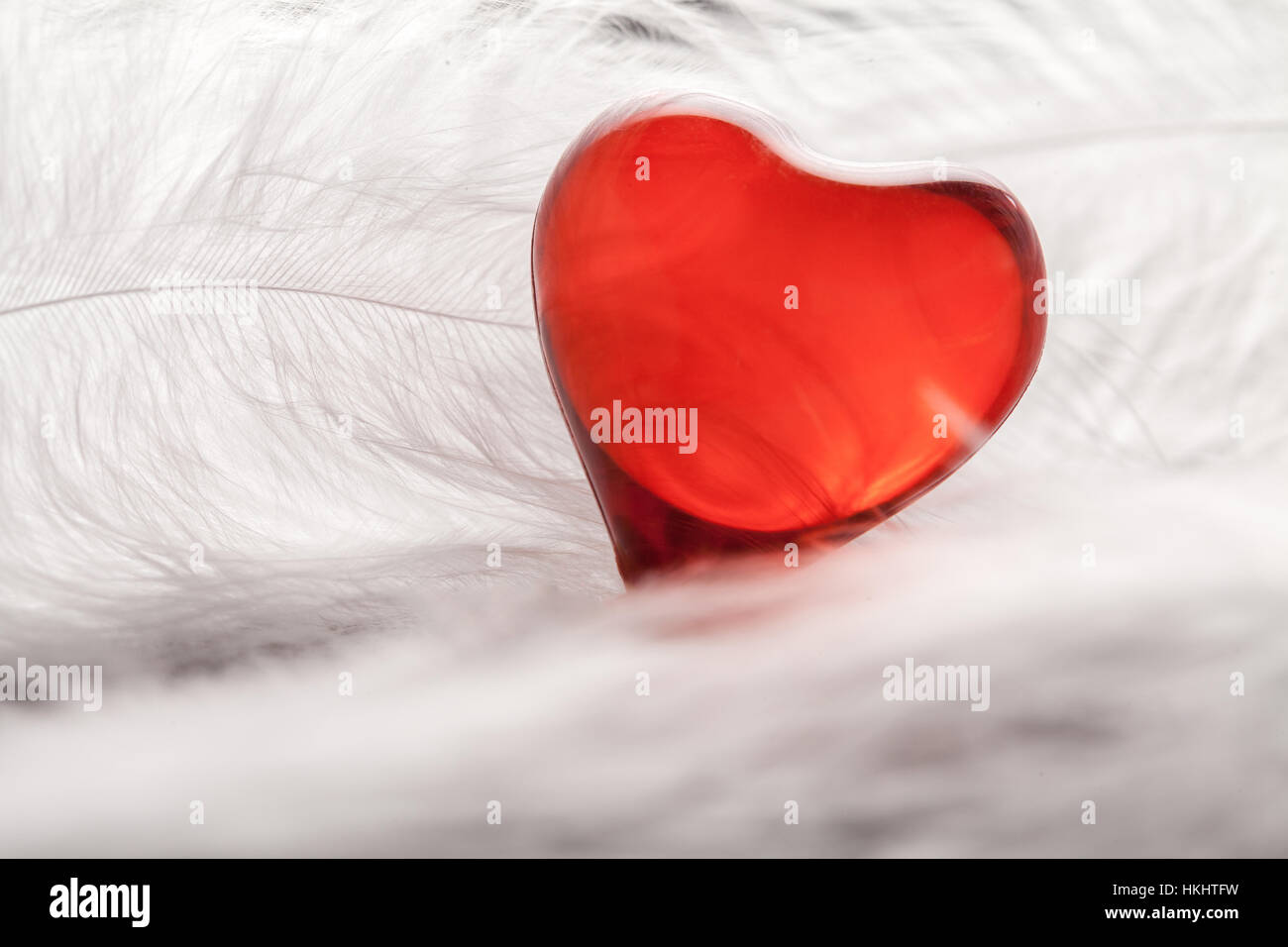 Coeur rouge sur fond blanc plumes de fond Banque D'Images