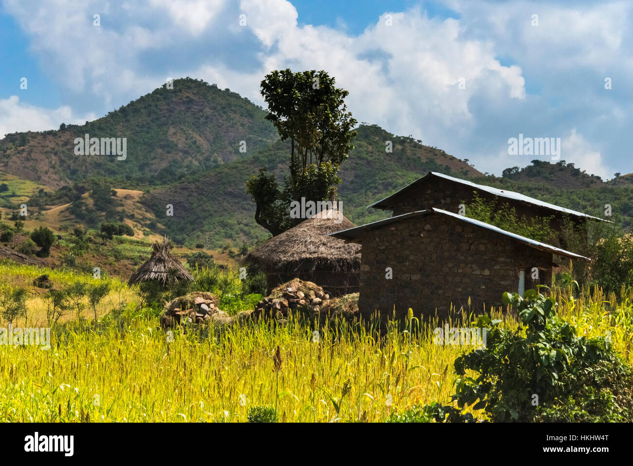 Maisons traditionnelles au toit de chaume dans la montagne, Lalibela, Éthiopie Banque D'Images