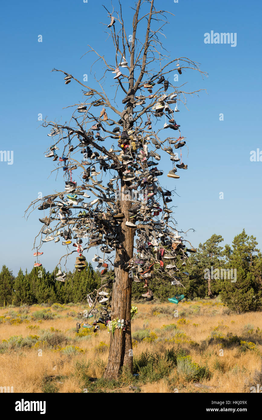 L'arbre de la chaussure, le long de l'autoroute 97, près de Bend, Oregon, United States of America Banque D'Images