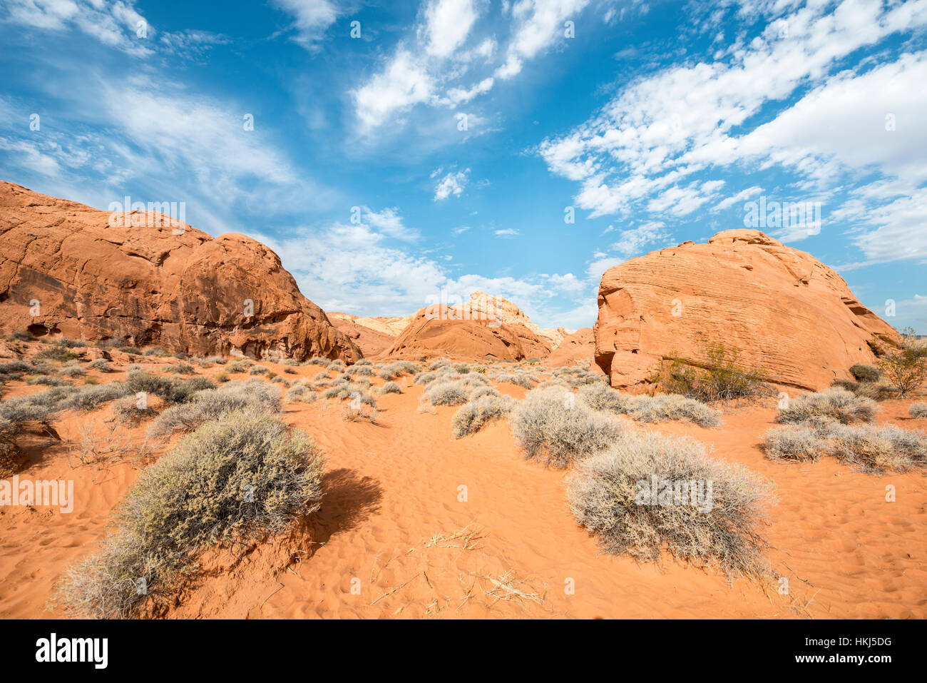 Rainbow Vista, des rochers de grès rouge, désert de Mojave, Valley of Fire, Nevada, USA Banque D'Images