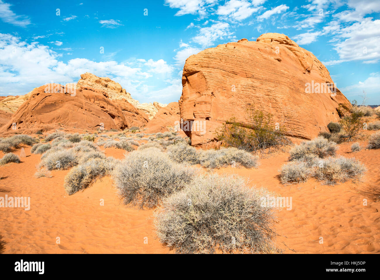 Rainbow Vista, des rochers de grès rouge, désert de Mojave, Valley of Fire, Nevada, USA Banque D'Images