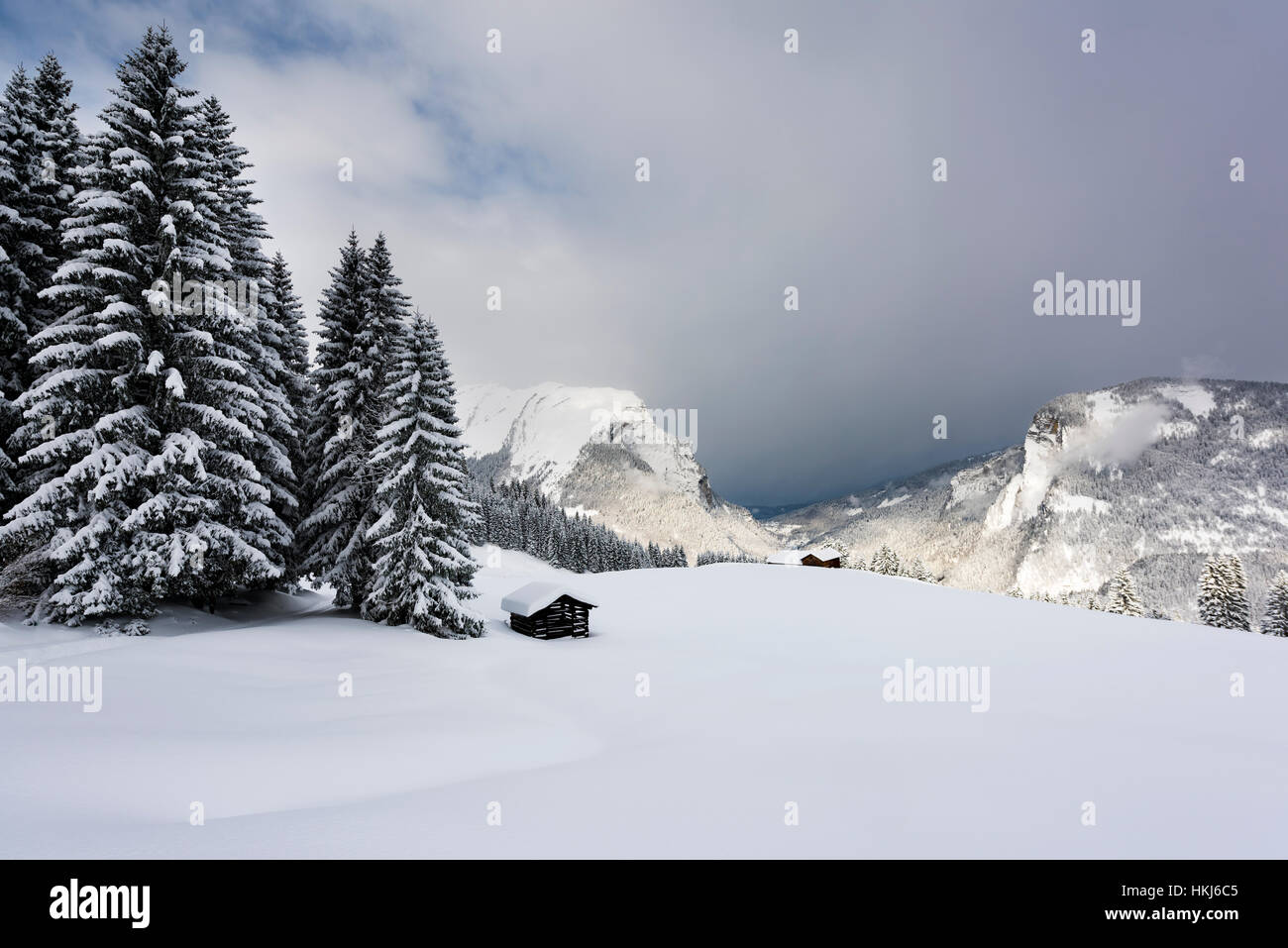 Petit chalet dans la montagne enneigée paysage, pics de la Kanisfluh à dos, Hittisau, forêt de Bregenz, Vorarlberg, Autriche Banque D'Images