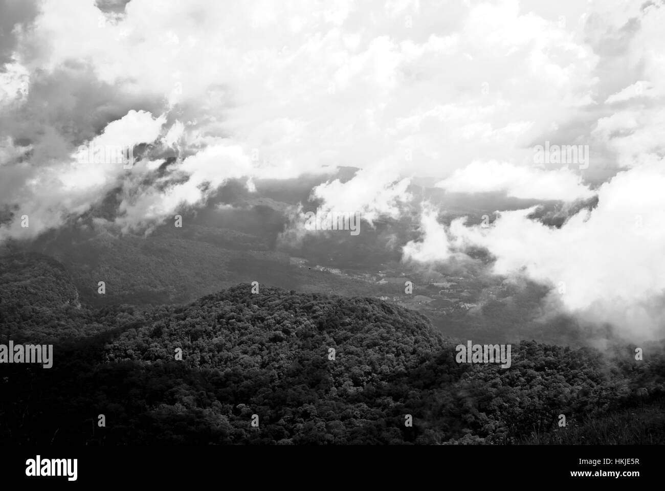 Kodachadri Western Ghats India Karnataka Banque D'Images