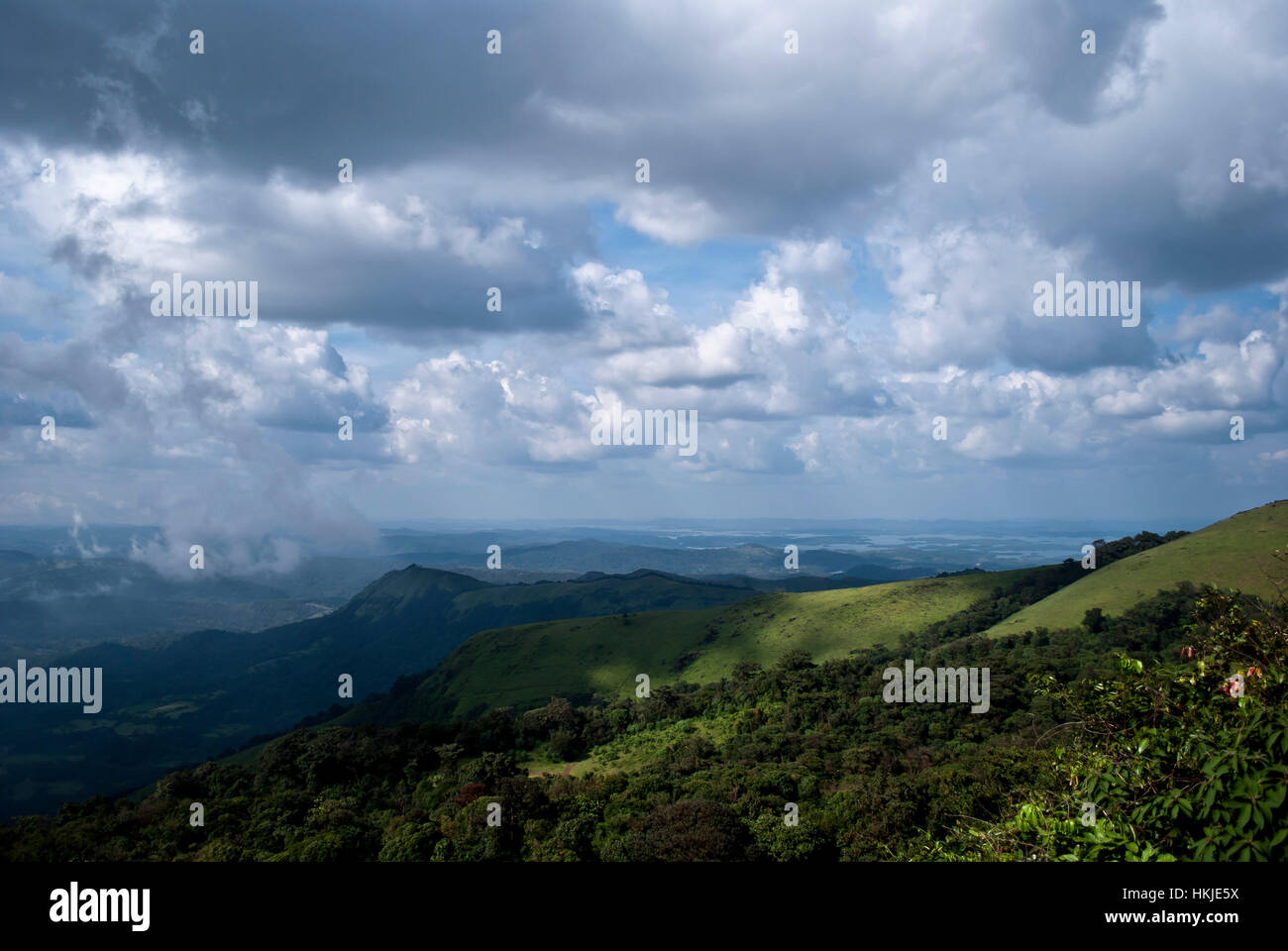 Kodachadri Western Ghats India Karnataka Banque D'Images