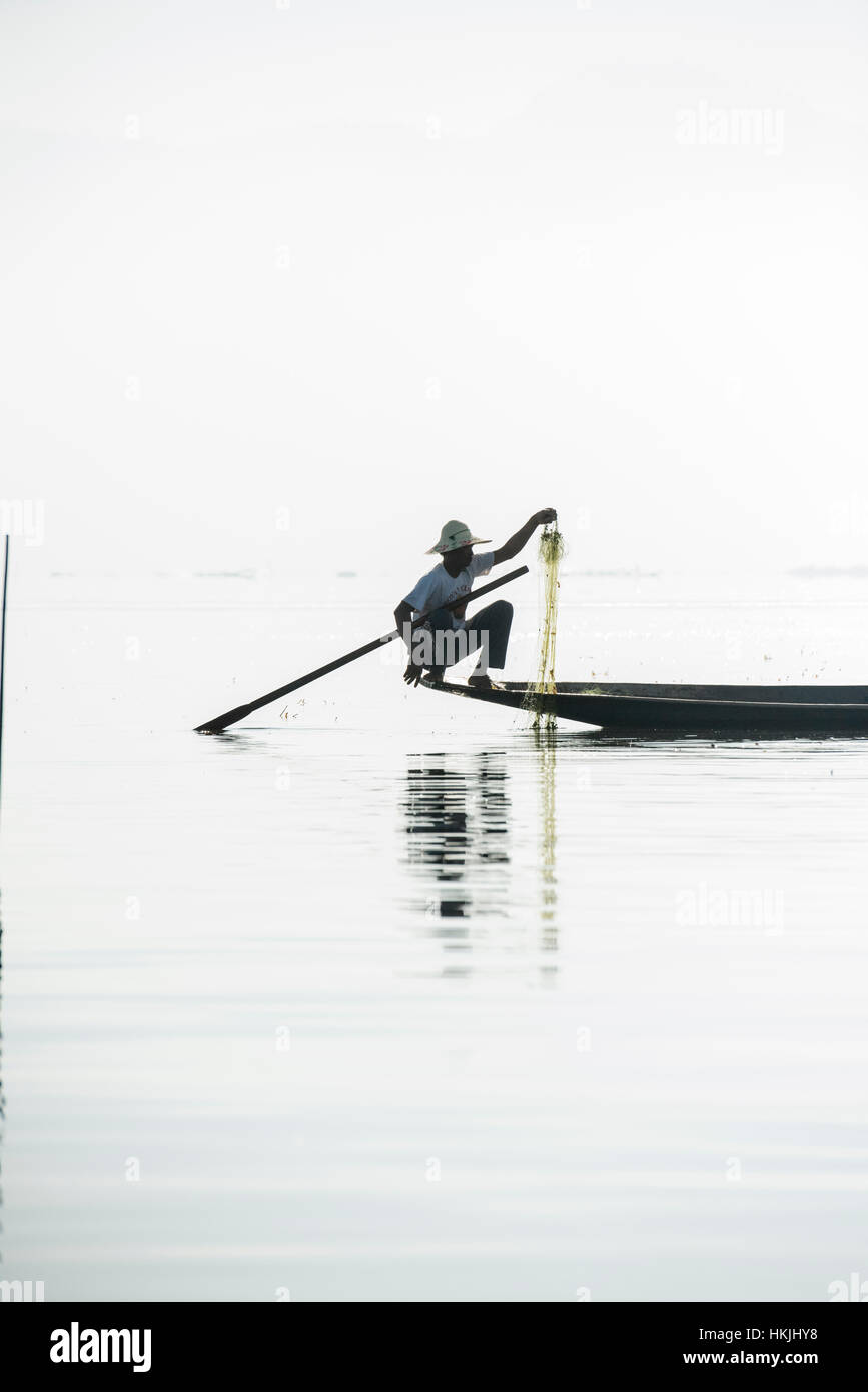 Un pêcheur de la tribu ethnie Intha pêche sur le lac Inle dans l'Etat Shan, Myanmar (anciennement la Birmanie) Banque D'Images