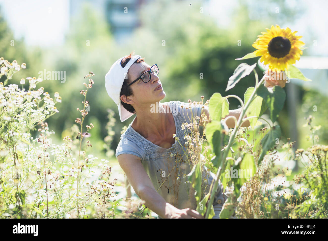 Mature Woman working in urban garden, Freiburg im Breisgau, Bade-Wurtemberg, Allemagne Banque D'Images