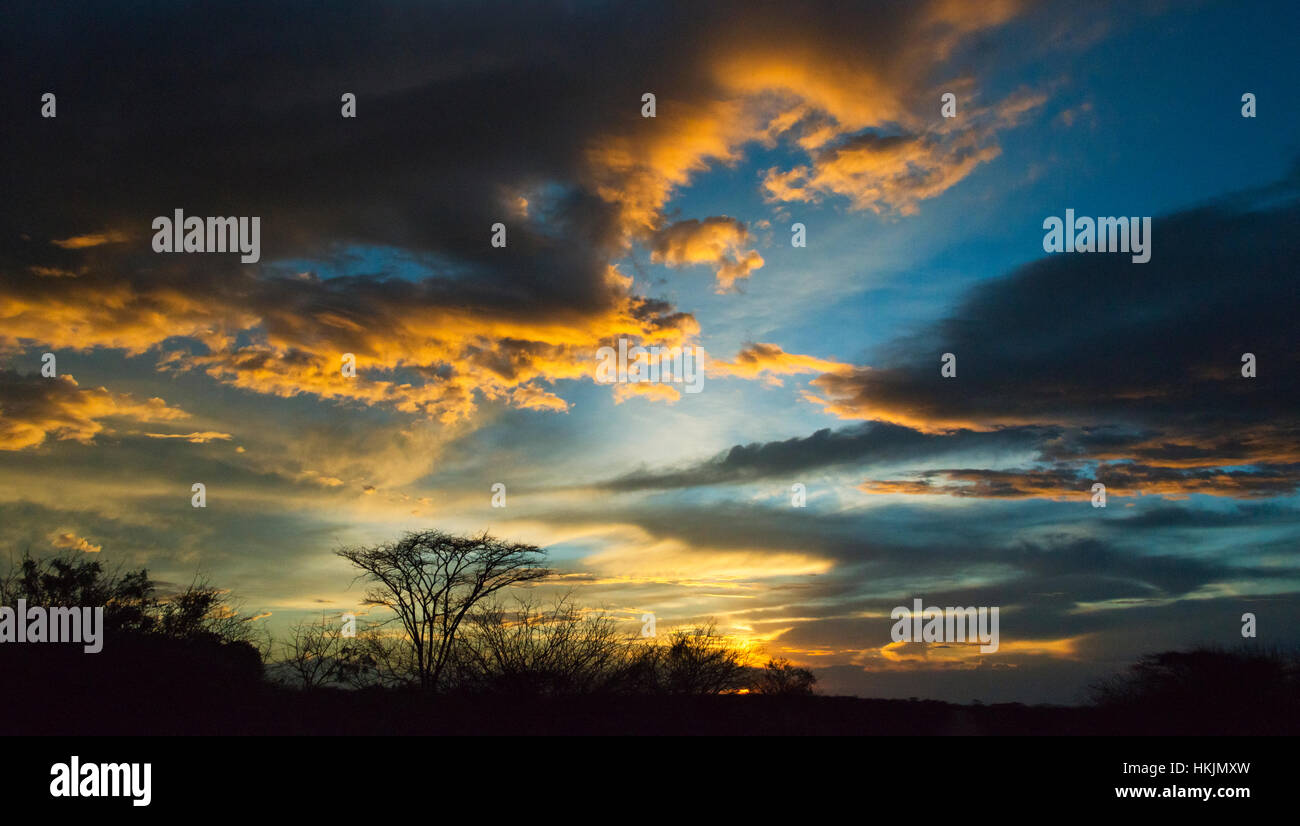 Acacia et les nuages au coucher du soleil, l'Omo, Ethiopie Banque D'Images