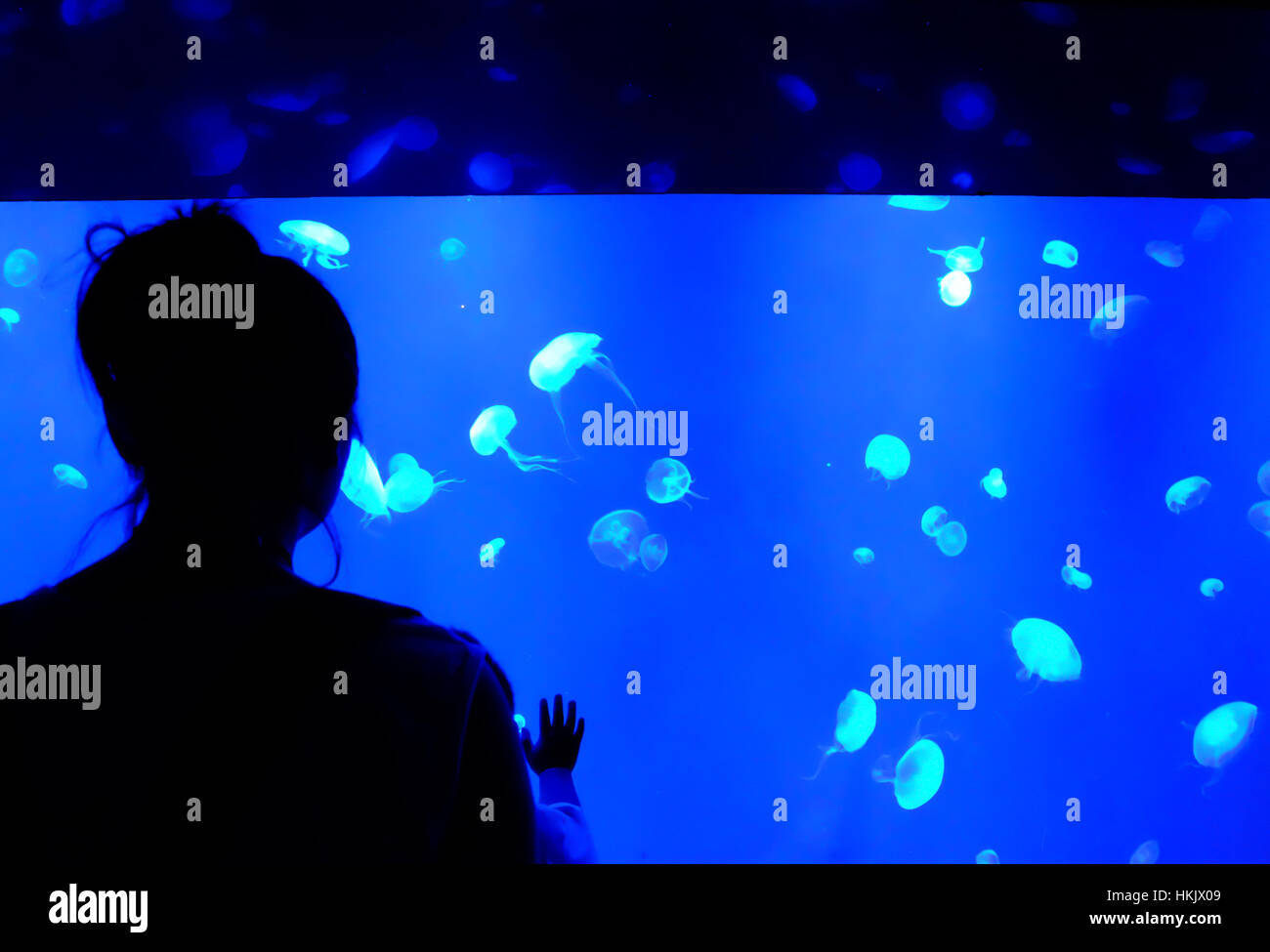 Silhouettes de personnes et les méduses sur fond bleu. Banque D'Images