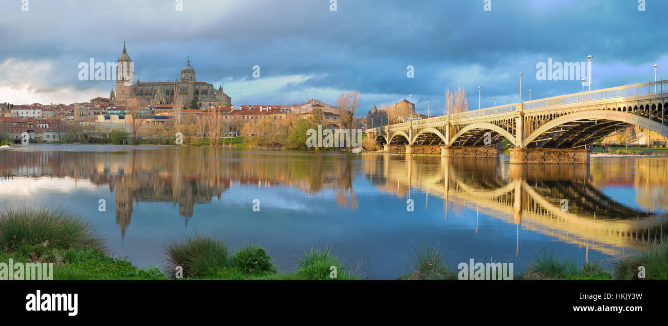 Salamanca - La cathédrale et le pont Puente Enrique Estevan Avda et le Rio Tormes river. Banque D'Images
