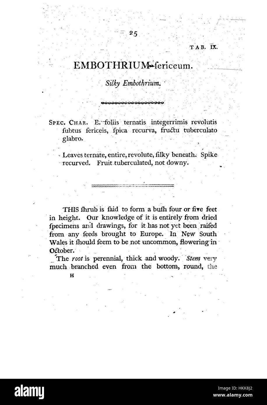 Cette illustration botanique, trouvée dans 'A Specimen of the Botany of New Holland', représente une espèce végétale indigène d'Australie. Le rendu détaillé reflète l'intérêt scientifique pour la flore unique de New Holland au XIXe siècle. Banque D'Images