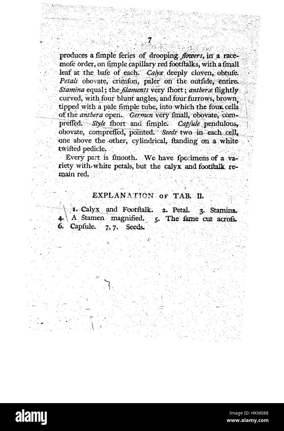 Cette illustration botanique tirée de 'A Specimen of the Botany of New Holland' fournit des représentations détaillées d'espèces végétales originaires d'Australie, contribuant à la compréhension de la flore de la région. Banque D'Images