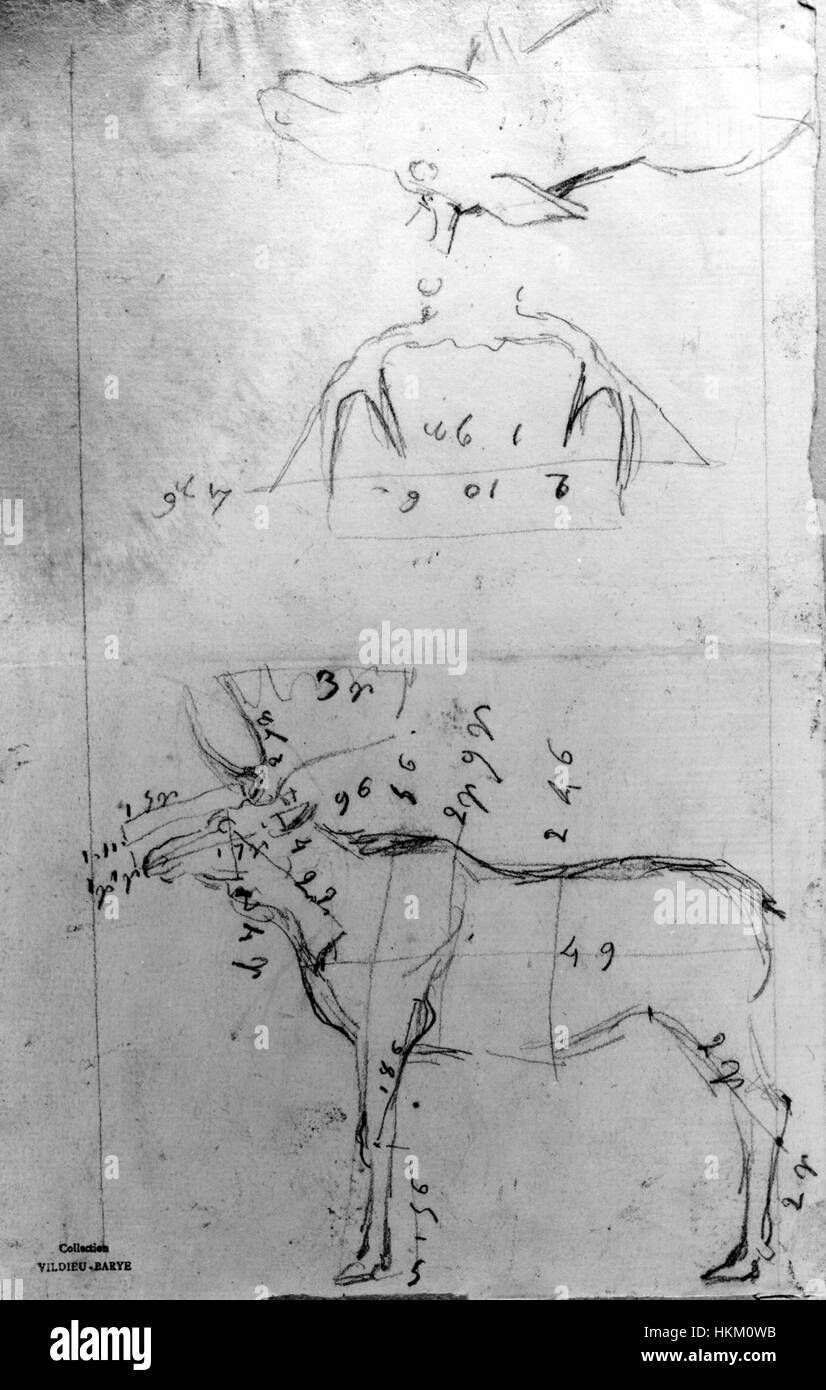 Ce croquis d'Antoine-Louis Barye représente un wapiti, avec des mesures détaillées et des bois, mettant en valeur l'attention de l'artiste pour la précision anatomique et sa maîtrise de la sculpture animale. Banque D'Images