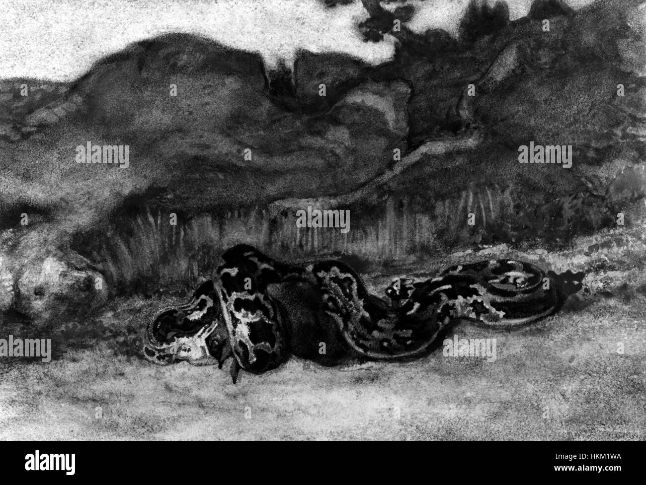 Antoine-Louis Barye - Python avaler une Roe-Deer - Walters 37835 Banque D'Images