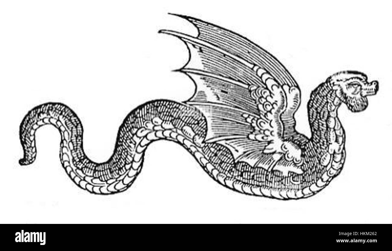 L'Amphiptere, un serpent ailé mythique, est présent dans cette œuvre d'art, originaire des mythologies anciennes, et est souvent représenté comme un serpent avec des ailes de dragon, symbolisant le pouvoir et le mystère dans diverses cultures. Banque D'Images